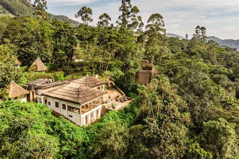 The Jungle Gorilla Lodge in Uganda .